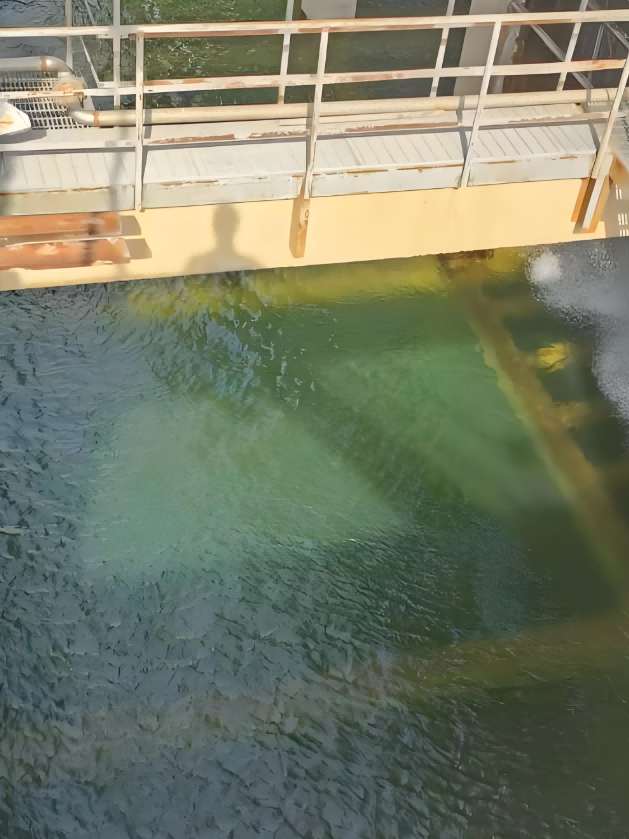 循環(huán)冷卻水水質(zhì)